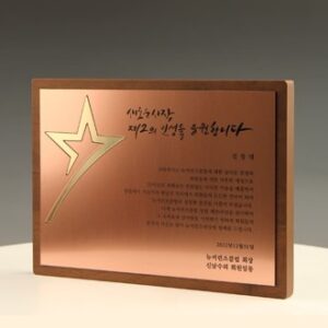 공로 감사 송공 재직기념패 E5238 공로 감사 송공 재직기념패 E5238
