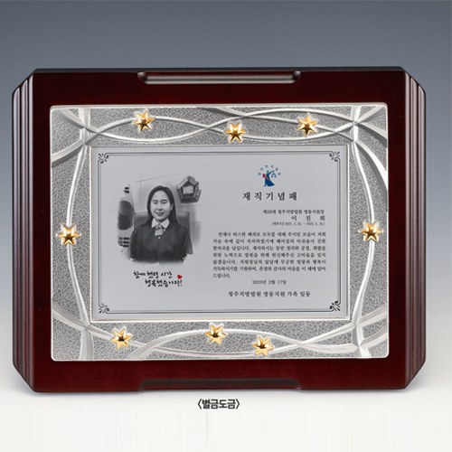 금속 순음도금상패 SD14)153-1 상세 이미지