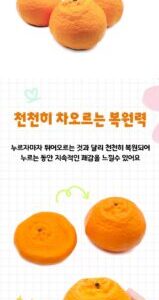 과일말랑이 쫀득이스트레스볼 슬랑이 손운동